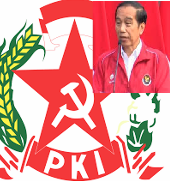 logo pki..