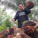 harga-tbs-kelapa-sawit-petani-swada