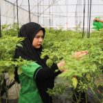 Ini Finalis Duta Urban Farming Jakarta Tahun 2024