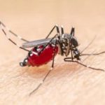 Upaya Pencegahan Berhasil, Kasus Malaria di Inhil Melandai